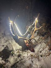 Waterproof Outdoor Rope Lights